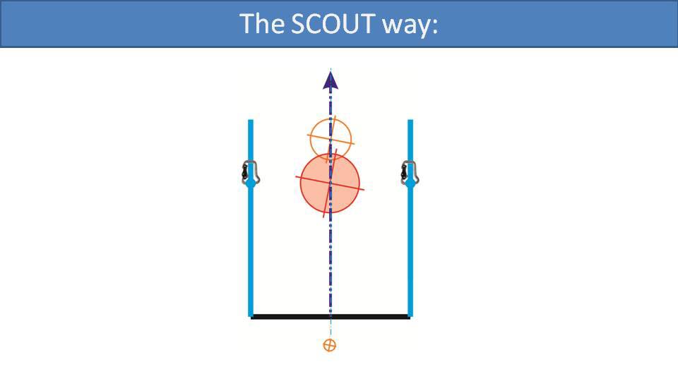 The SCOUT way (diagram)